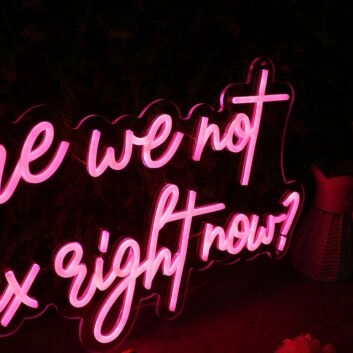 Why Are We Not Having Sex Right Now Red Neon Sign