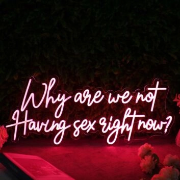 Why Are We Not Having Sex Right Now Red Neon Sign