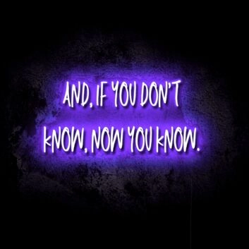 If You Don&#039;t Know, Now You Know LED Neon Sign