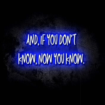 If You Don't Know, Now You Know LED Neon Sign