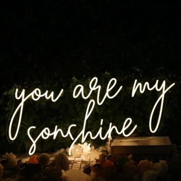 You Are My Sunshine Yellow Neon Sign