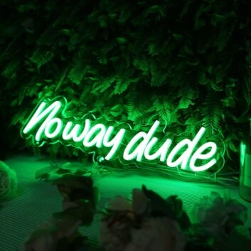 Noway Dude Green Neon Sign