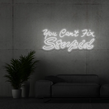 You can&#039;t fix stupid Neon Signs