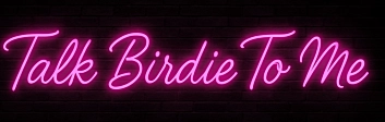 Mike Custom  Talk Birdie To Me Separate 80 inch + Flamingo Neon Sign 60inch