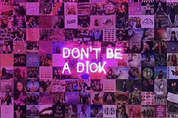 &#39;Don&#39;t be a dick&#39; neon sign