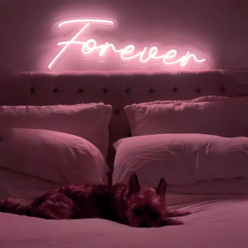 Forever with Neon Art