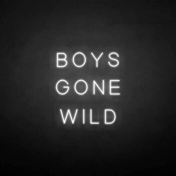 BOYS GONE WILD&#39; neon sign