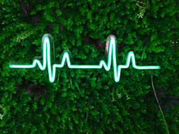 Heartbeat Feel the Pulse of Life with Neon Art