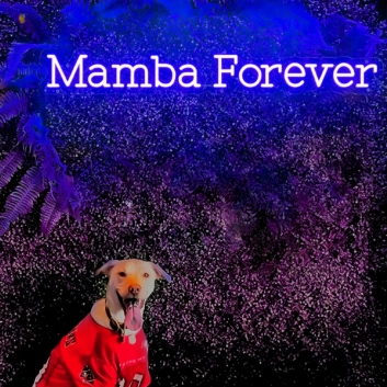 Mamba Forever Neon Sign