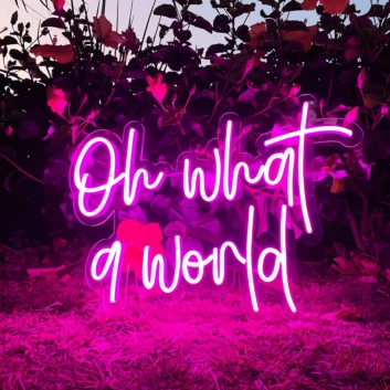 Oh What a World: Let Your Space Shine with Wonder!