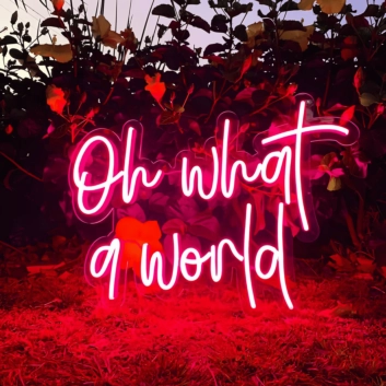 Oh What a World: Let Your Space Shine with Wonder!