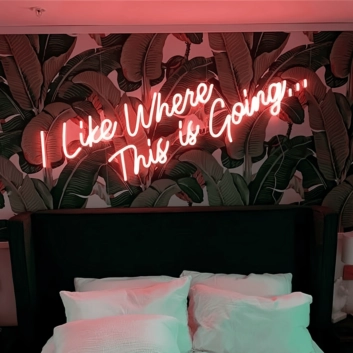 I Like Where This is Going Illuminated Neon Sign