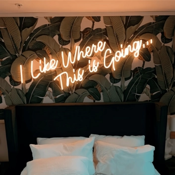 I Like Where This is Going Illuminated Neon Sign
