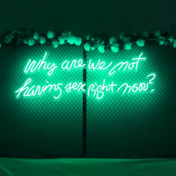 Why Are We Not Having Sex Right Now Neon Sign: Let Desire Light the Way