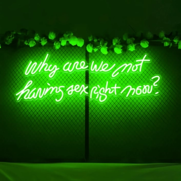 Why Are We Not Having Sex Right Now Neon Sign: Let Desire Light the Way