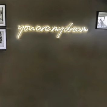 You are My Dream: Illuminate Your Space with Neon Fantasies