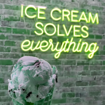 Indulge in Bliss Ice Cream Solves Everything Neon Sign