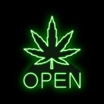 Customize Large Leaf Green Open Neon Signs