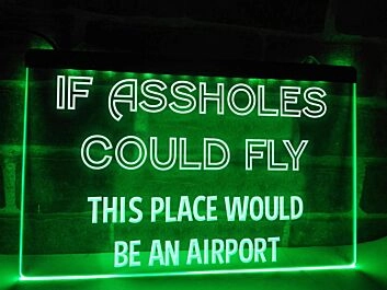 If Assholes Could Fly Funny Hanging Neon Sign