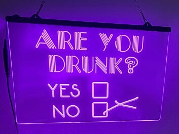 Are You Drunk Bar Hanging Neon Sign