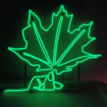Summer Large Green Leaf Neon Sign