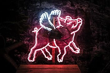 Flying Pig Neon Sign for Whimsical and Fun Spaces