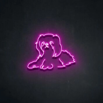 Shih Tzu Neon Sign for Pet Lovers