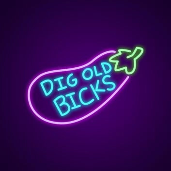 Dig Old Bicks Neon Sign Add humor to your space