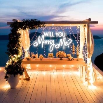 Will You Marry Me Neon Sign Proposal