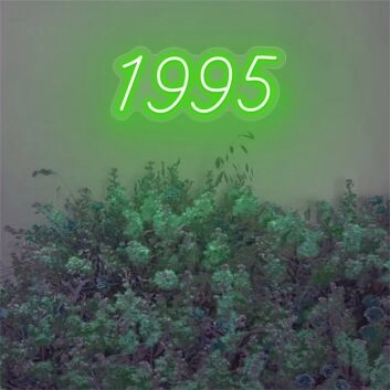 Brighten Your Bar, Office, and Special Celebrations with the Number 1995 LED Neon Sign.