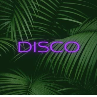 Brighten Up Your Nights: Disco LED Neon Sign for Bars, Clubs, and Festive Home Parties
