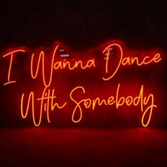 I Wanna Dance With Somebody Neon Sign