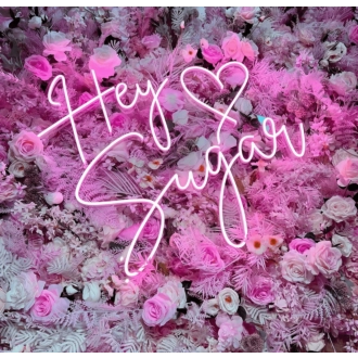 Hey Sugar Neon Sign Sweeten Up Your Space with Retro Charm