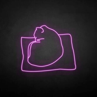 Die Katze auf dem Kissen