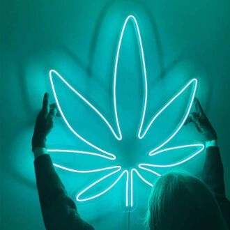 Zimmerblätterpflanze Grün Dekoratives Licht