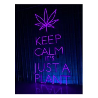 Brighten Your Space: Enhance Your Home, Bar, or Store Decor with the Keep Calm Its Just A Plant Led Neon Sign.