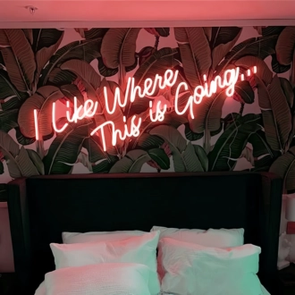 I Like Where This is Going Illuminated Neon Sign