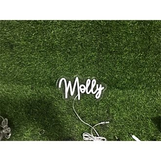 Elevate Your Space: Add a Glow to Your Home, Office, or Bar with the Personalize Custom Molly LED Neon Sign.