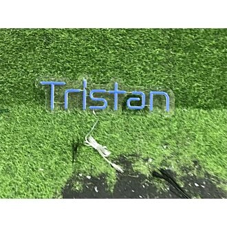 Brighten Up Your Space: Perfect for Weddings, Bars, and Home Decor with Personalize Custom Tristan LED Neon Sign.