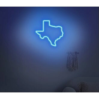 Texas Neon Sign