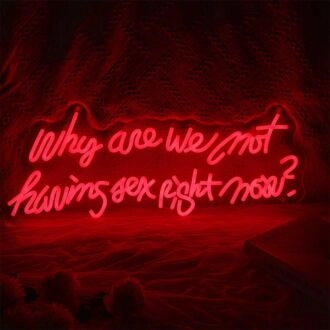 Why Are We Not Having Sex Right Now Neon Sign