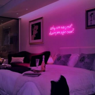 Bold Why Are We Not Having Sex Right Now Neon Sign NE1043 for Unique Decor