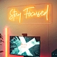 Stay Focused Brilliant Neon Sign