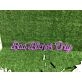 Elevate Your Home, Office, or Party Ambience with the Bad Bitch Only In Purple LED Neon Sign.