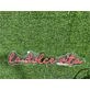 Brighten Your Special Moments - La Dolce Vita Custom LED Neon Sign for Weddings, Parties, and Home Ambiance.