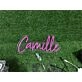 Add a Radiant Touch to Your Home, Office, and Special Events with Personalize Custom Camille LED Neon Sign.
