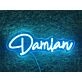 Bring Your Space to Life: Personalize Custom Damian LED Neon Sign for Home, Office, Bar, and Wedding Ambiance.