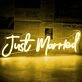 Just Marred Neon Sign