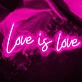 Love is Love Neon Sign