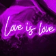 Love is Love Neon Sign